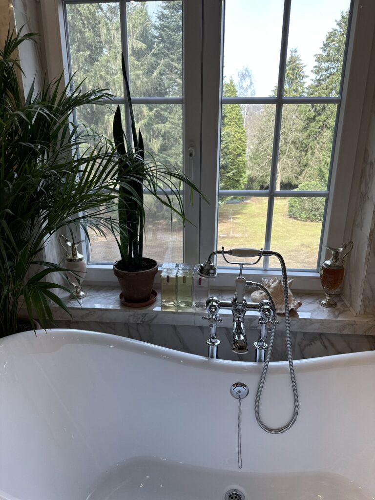 diana-renovation-elite-magnifique-salle-de-bain-baignoir-antique-spa-verte-electricite-RGIE - Diana Rénovation - Immo Valorisation