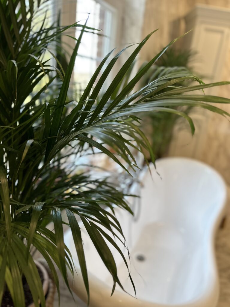 diana-renovation-espace-relaxation-salle-de-bain-cocooning-luxe-neupre-conformite-electrique - Diana Rénovation - Immo Valorisation