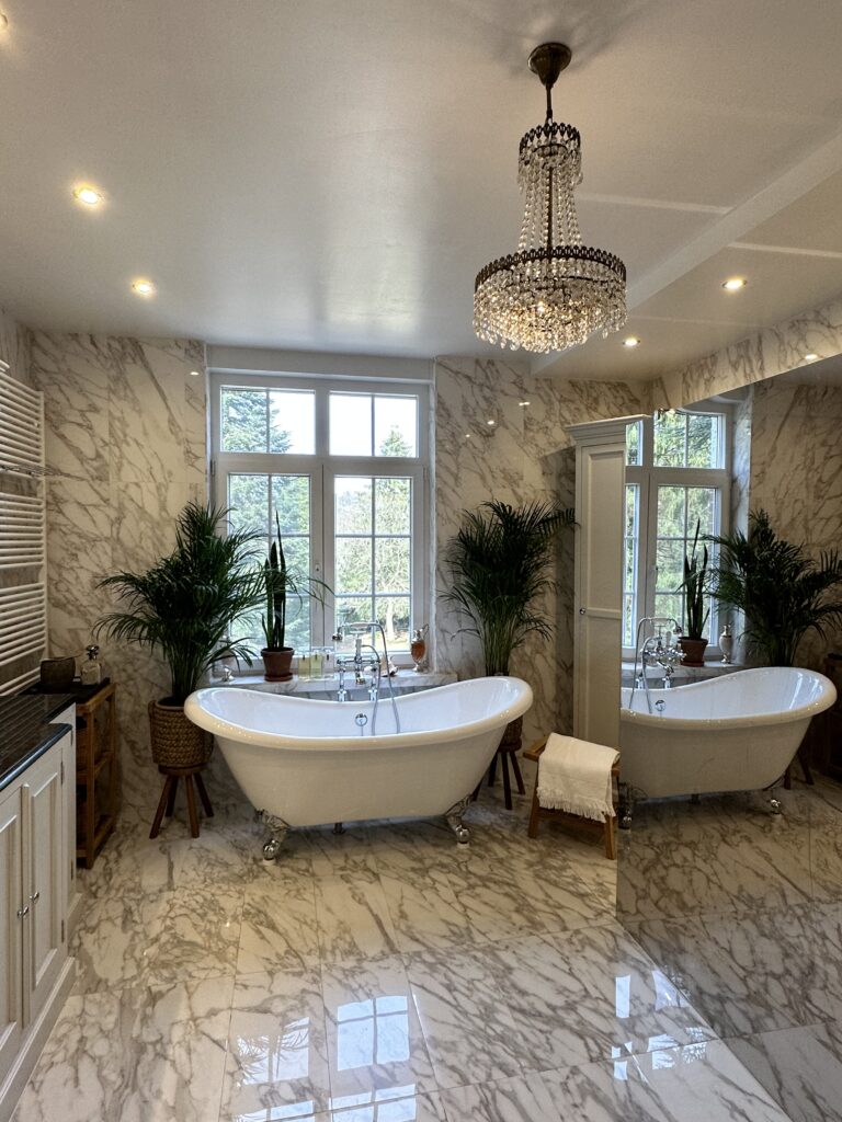 diana-renovation-spa-paroi-miroir-baignoire-elite-douche-magnifique-mise-en-conformite-electrique - Diana Rénovation - Immo Valorisation
