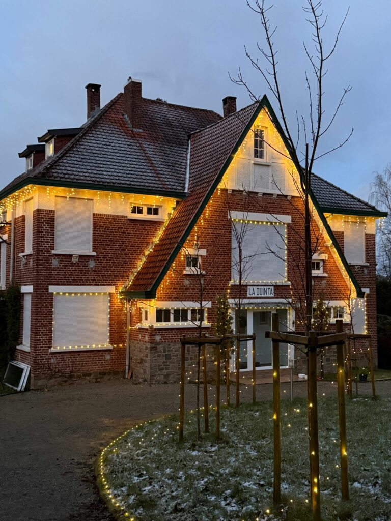 Diana Renovation Electricite Tilff Visé fête anniversaire design lumineux mariage noel sapin allée jardin toit spot fenetre terrasse dépannage - Diana Rénovation - Immo Valorisation