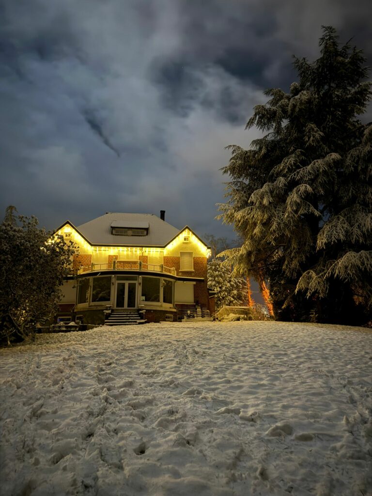 Diana Renovation électricité dépannage intérieur lumiaire guirlande lumineuse terrasse porte fenetre celebration decoration - Diana Rénovation - Immo Valorisation